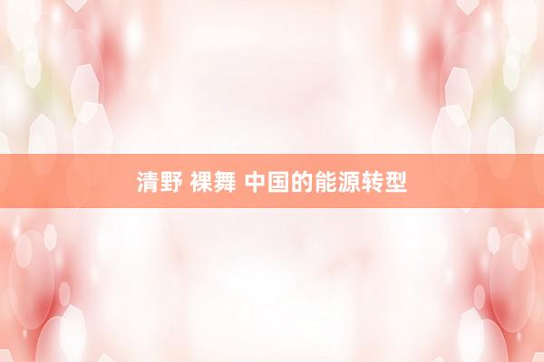 清野 裸舞 中国的能源转型