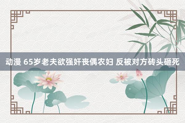 动漫 65岁老夫欲强奸丧偶农妇 反被对方砖头砸死