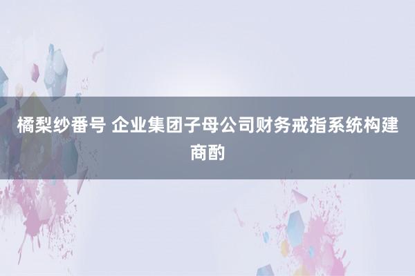橘梨纱番号 企业集团子母公司财务戒指系统构建商酌