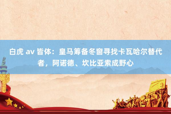 白虎 av 皆体：皇马筹备冬窗寻找卡瓦哈尔替代者，阿诺德、坎比亚索成野心