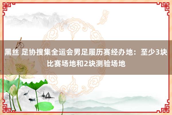 黑丝 足协搜集全运会男足履历赛经办地：至少3块比赛场地和2块测验场地